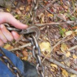 Attaching a grab hook to a logging chain.