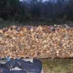 Side view of a wood pile