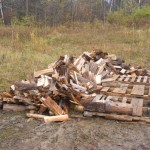 Firewood unloaded near the pallets for stacking.